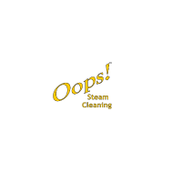 Black Business, Local, National and Global Businesses of Color Oops Steam Cleaning in Houston TX