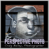 Perspective Photo Company Logo by Craig Bailey in Boston MA