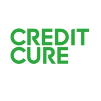 Black Business, Local, National and Global Businesses of Color Credit Cure in Scottsdale AZ