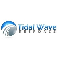 Black Business, Local, National and Global Businesses of Color Tidal Wave Response in Chamblee GA