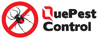 Black Business, Local, National and Global Businesses of Color Quepest Control in Glenwood NSW