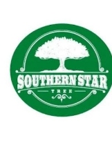 Black Business, Local, National and Global Businesses of Color Southern Star Tree Service in Atlanta GA